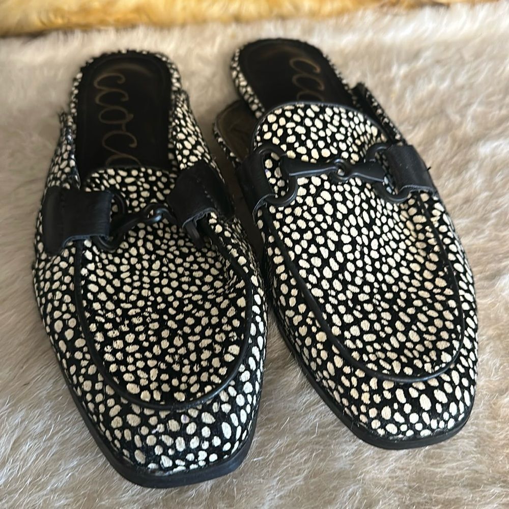 Ccocci shoes 7.5 (7006) NWOT